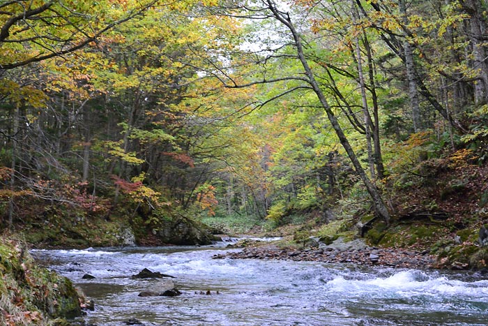 シーソラプチ川のダウンリバー