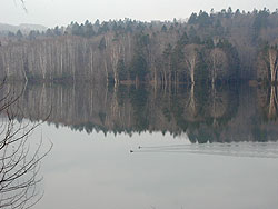 静かな湖