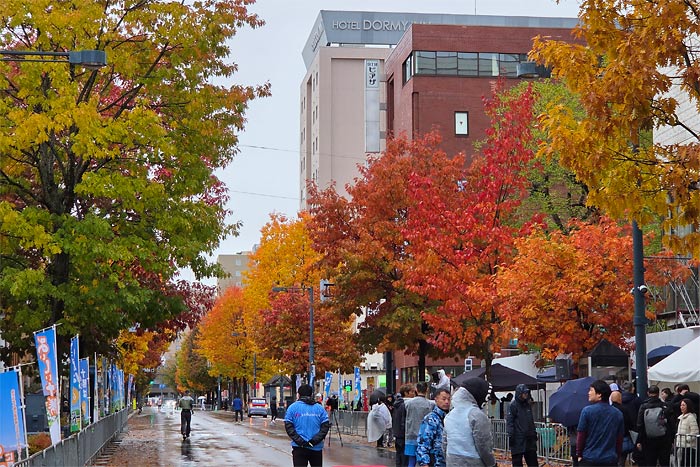フードバレーとかちマラソン