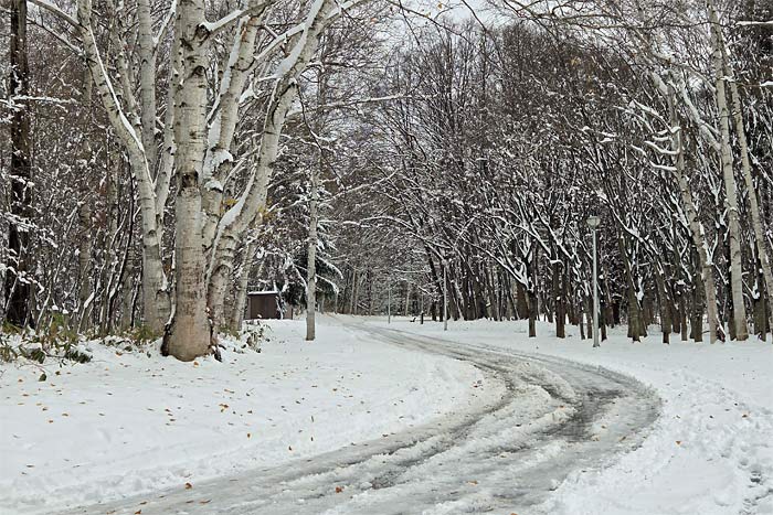 作.AC真駒内マラソン