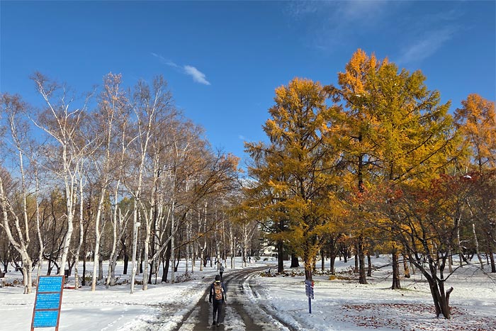 作.AC真駒内マラソン