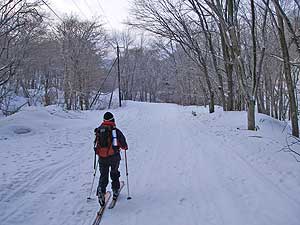 圧雪された林道を歩く