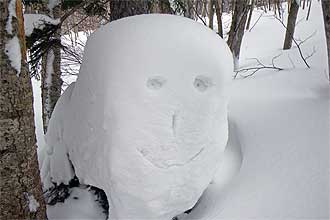 雪の顔１