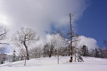 タケノコ山の風景